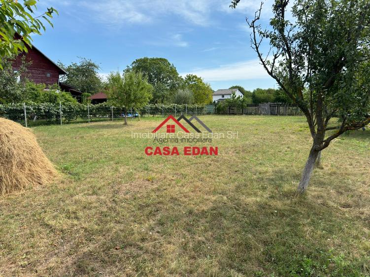 ●Teren in Campina--920mp--28.000e● - 8