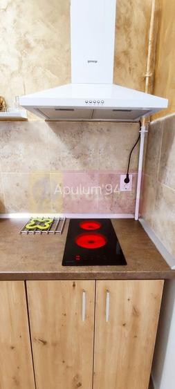 Studio de vanzare in Sinaia, investitie in turism - 7