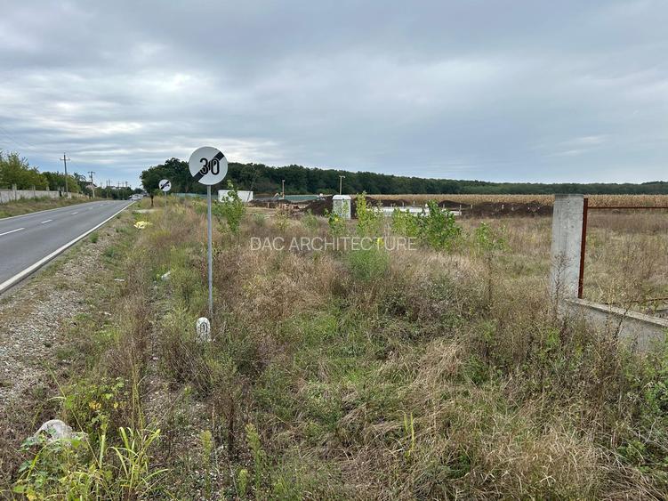 TEREN INTRAVILAN 794 MP MOARA VLASIEI / GRADISTEA - 4