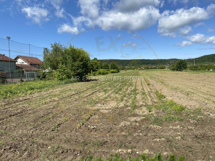 Teren intravilan 7.295 mp – Argeselu, Maracineni, AG - 2