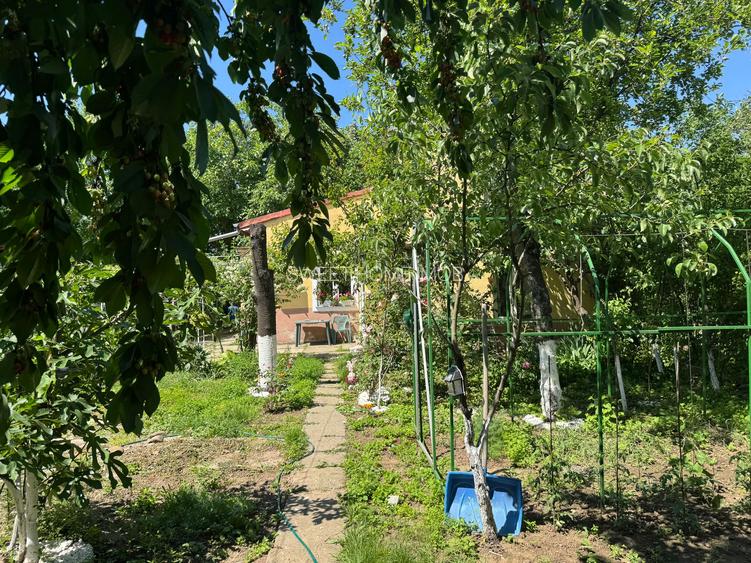 Casă si teren 502 mp Andronache - 4
