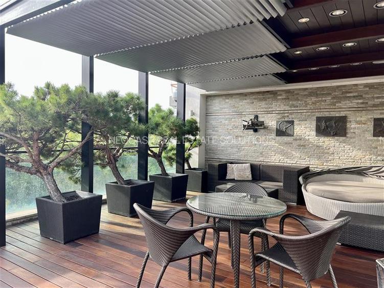 Penthouse spectaculos cu vedere catre parc - 3