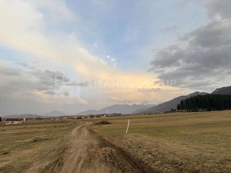 Teren intravilan, 2548 mp, cu priveliște superbă - Zărnești - 6