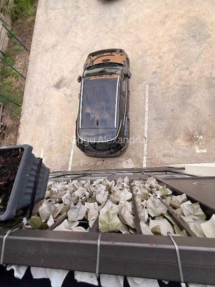 Apartament 2 camere Valea Lupului Parcare inclusa plus curte  - 6