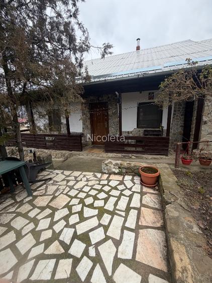 Vand casa de vacanta la 27 km de Buzau - 6