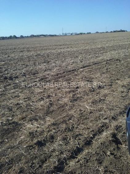 Exclusiv! Teren extravilan 10.000 mp - Cumpana - Malul canalului (Cod E3) - 8