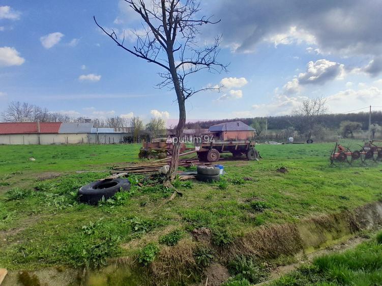 DE VANZARE TEREN 3400 MP IN SAT PODU ILFOVAT / COM BUTURUGENI (GR) - 23