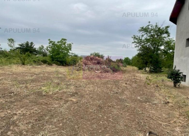 Teren Domnesti- Mega Image. - 3