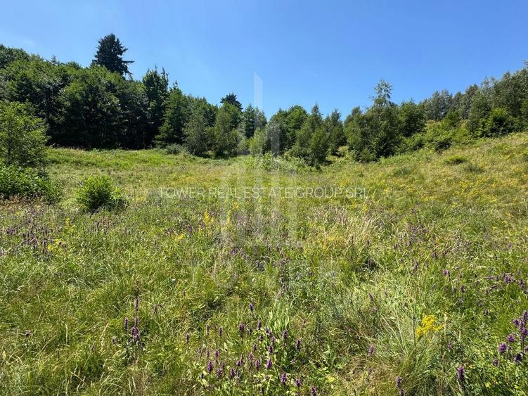 Teren intravilan 4600mp - 55 EUR/mp - EXCLUSIVITATE CISNADIOARA - COMISION 0% - 12