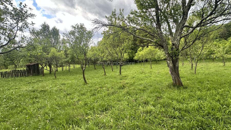 Teren intravilan 3102mp zona Racovita-Blanoiu - 4