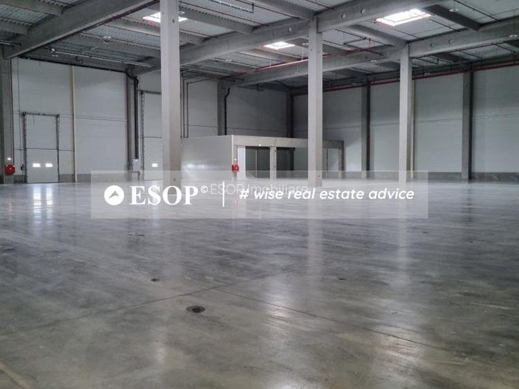 Spatiu Depozitare Aproape Port Constanta, 5.000 - 90.000mp - 3