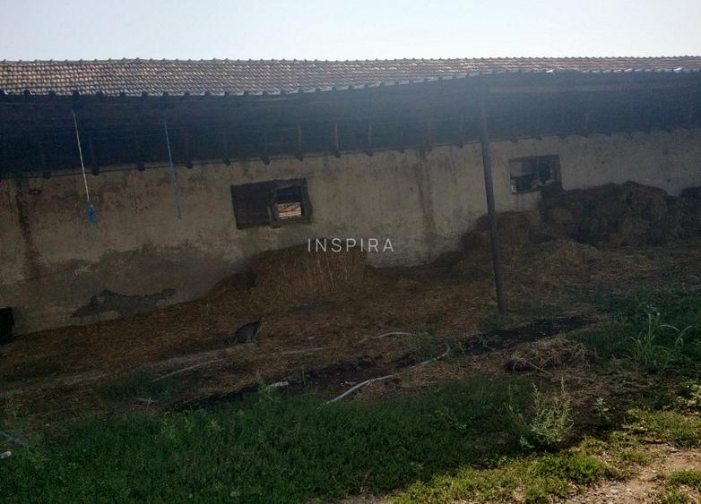 Ferma cu hale 3000 mp si teren 12000 mp, 30 km de Constanta - 9