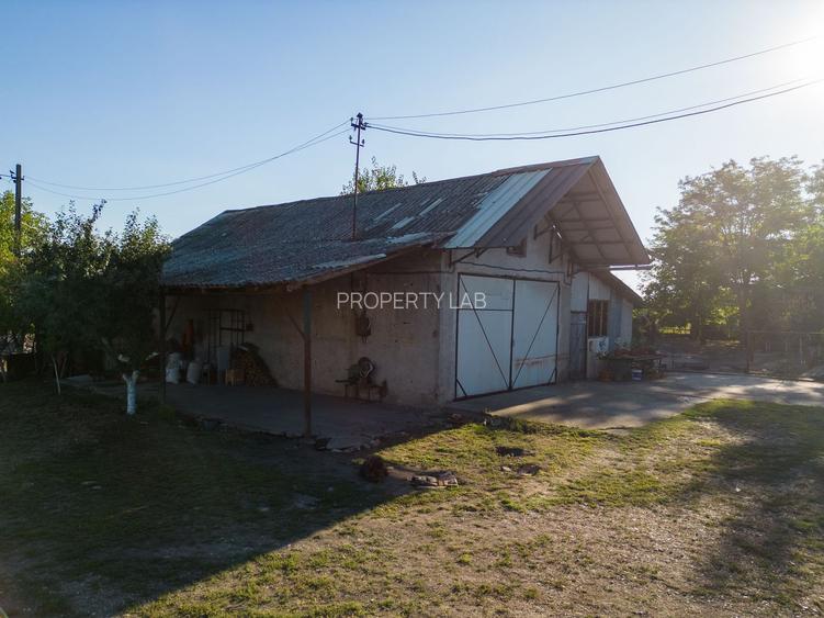 Hală industrială cu multiple destinații în Nădlac - 46