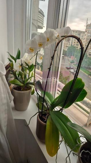 Vanzre apartament de 3 camere in zona Corneliu Coposu,metrou - 4