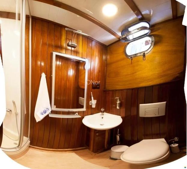 Business pe apa | MS LUXURY CRUISE YACHT - 4