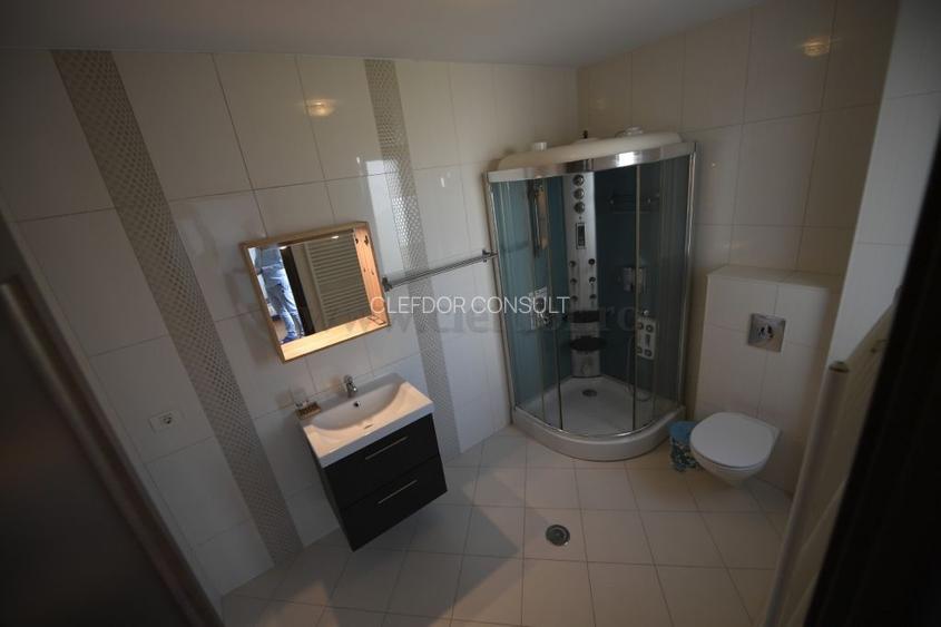 Vila renovata in apropiere de Iancu Nicolae - 10