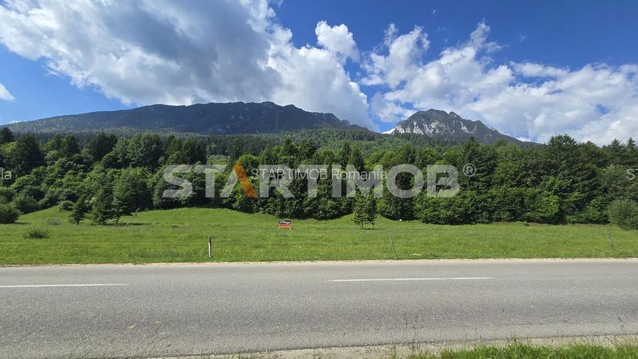 Teren intravilan Zarnesti Plaiul Foii - 12