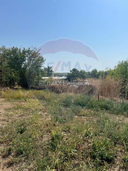 Teren de vanzare / 2,500 mp pe Malul Lacului Tancabesti /Ilfov - 11