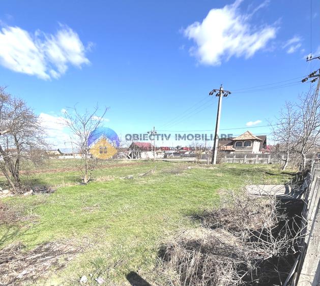 TEREN intravilan  comuna SAVINESTI - 9