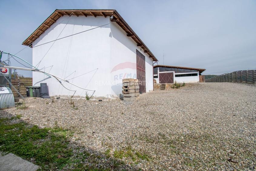 Ferma moderna de porci de vanzare in Curtuiusu Dejului - 23