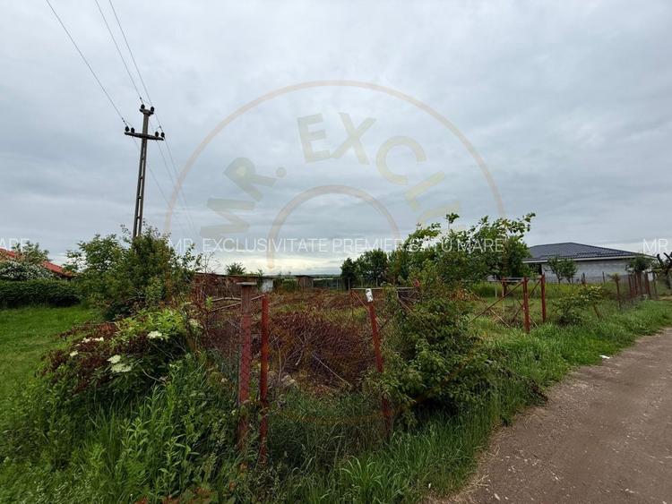 Teren Intravilan Padurea Noroieni - 8