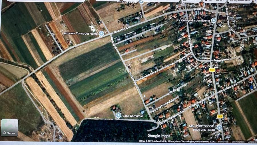 Teren Intravilan Gulia 4298 mp (Ideal Dezvoltare/Lotizat) - 2