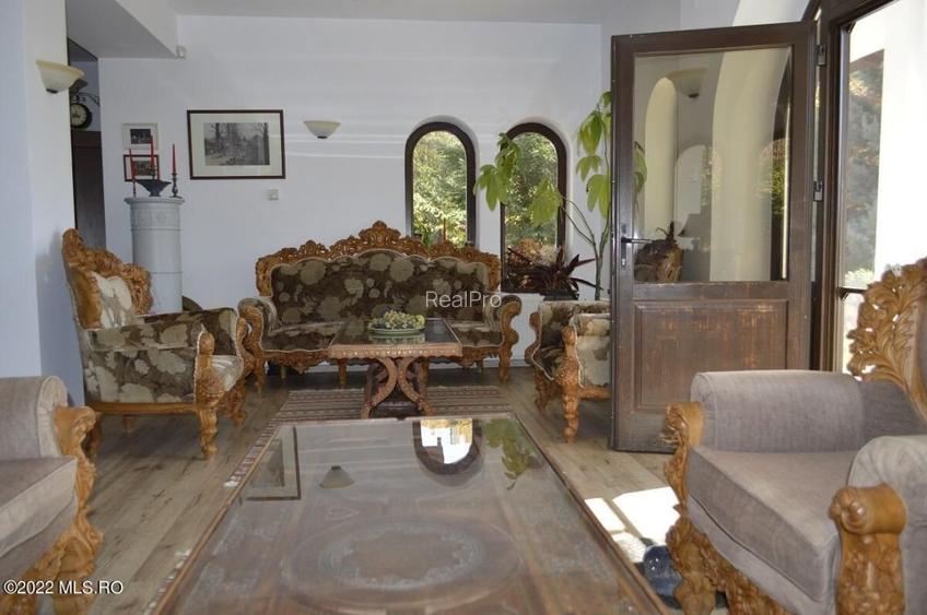 Topoloveni - Conacul Ion Mihalache, Domeniu pe 5 Hectare! - 18