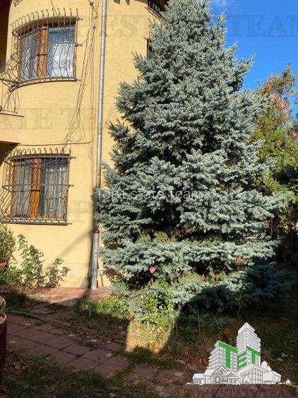 Vila de vanzare in Bucurestii Noi - 2