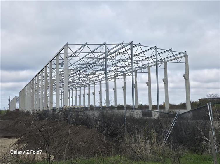 Inchiriere depozit/hala/spatiu industrial Mogosoaia - Buftea - 2