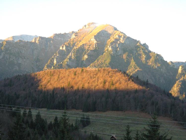 10650 pe munte, langa Predeal  cu PUZ, ridicare TOPO, studiu GEO,apa,gaz,curent - 4