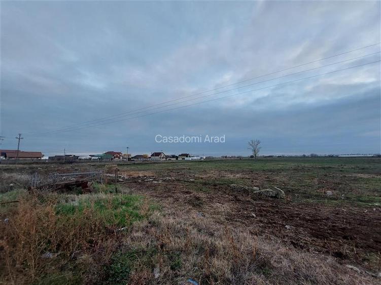 Teren pentru proiect rezidential sau industrial in Sanpaul - 6