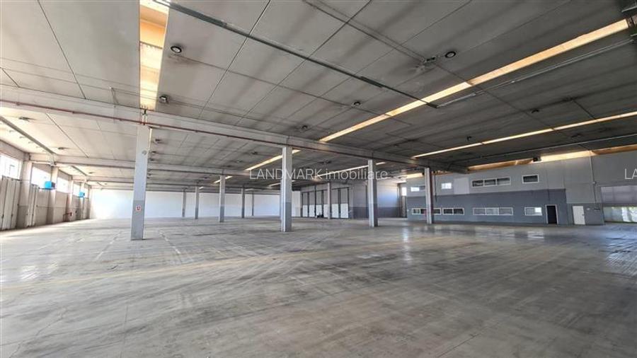 Hala industriala 5de inchiriat,  Timisoara Calea Sagului - 4