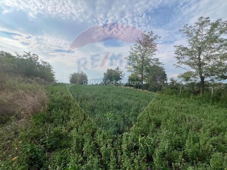 Teren intravilan Gologanu / Strada Margaretelor - 3