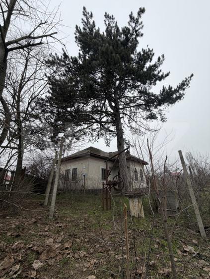 Casa parter 2714 mp teren, front 104 ml, strada principala Caciulatesti - 2