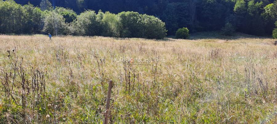 Teren Intravilan | Schitu Tarcău | 2089MP | Izvor | Platou - 13