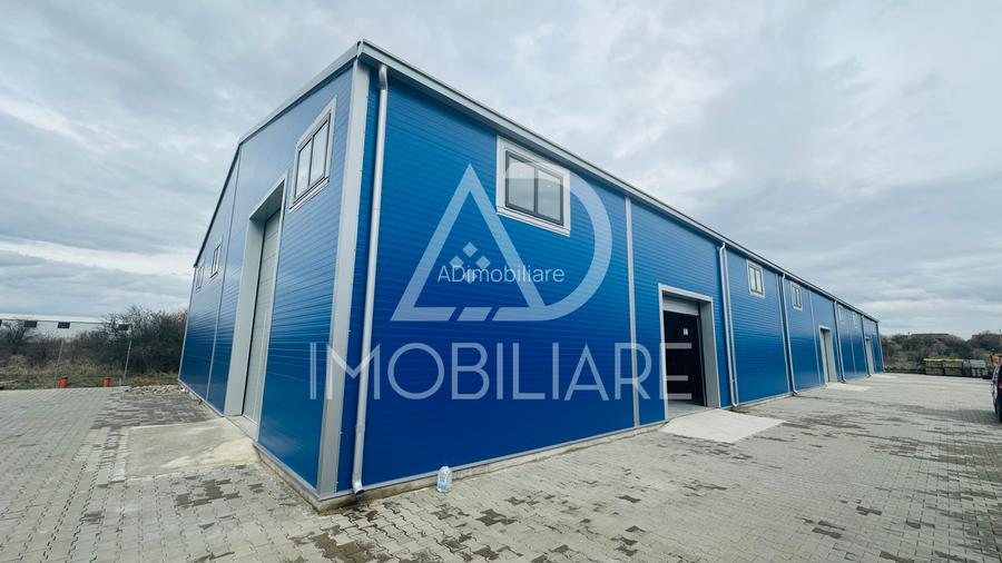 Închiriere hală 1000 mp situată în strada Narciselor , Târgu-Jiu - 10