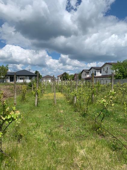 Stefanesti de Jos DJ200  Str Stadionului   Vanzare teren intravilan 3000mp - 7