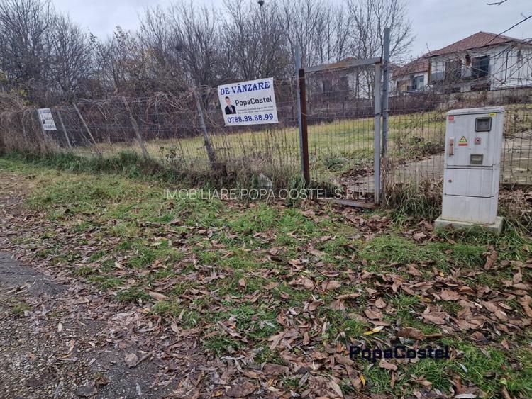 Tunari - Camil Petrescu teren 1000 mp deschidere 23 ml, electricitate, canal - 6