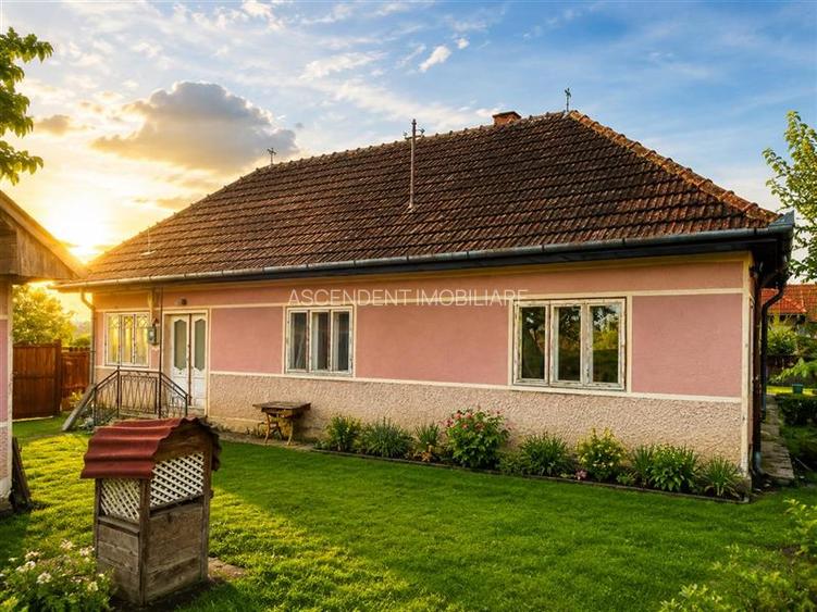 FILM! Gospodarie cu atmosfera traditionala,1.032 mp de verde si gradinarit, Sanz - 9
