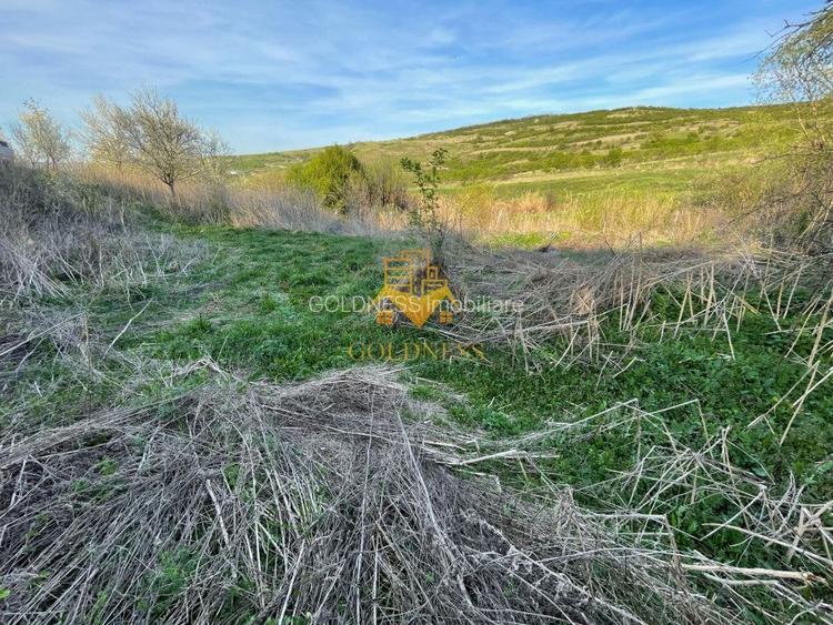 Tren Soporului Intravilan ,5500 MP Utilitati,  Oportunitate - 9