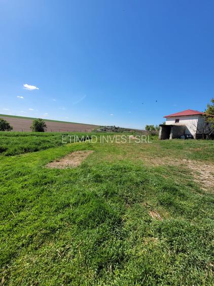 FERMĂ - PIETRENI - DN3 - UTILITĂȚI - 10.680 MP - 9