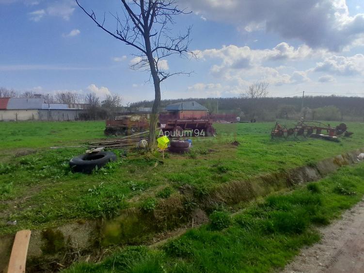 DE VANZARE TEREN 3400 MP IN SAT PODU ILFOVAT / COM BUTURUGENI (GR) - 20