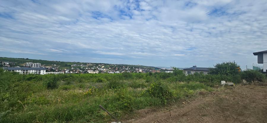 Teren de vanzare, Bucium- Dealu Craitelor 143, vecinatate cartier Panoramic