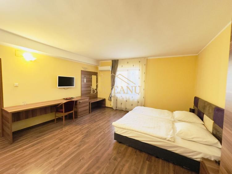 BG100-Apartament Premium cu 1 camera – Central,Zona Universitara UVT - 2