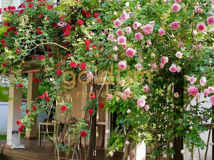 IANCU NICOLAE/ GRADINA SUPERBA/LOCURI DE PARCARE/SPATII GENEROASE - 54