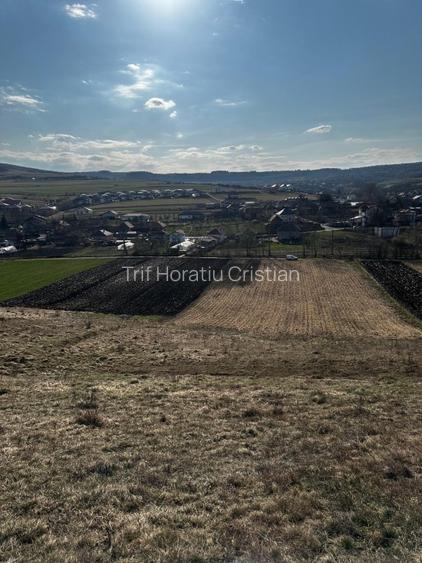 Teren extravilan 9000 mp Corușu, Baciu – acces drum,  acces apa curgatoare - 8