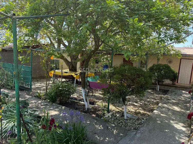 Casa cu 4000 mp teren, Letca Noua, Giurgiu — 1h de București - 6