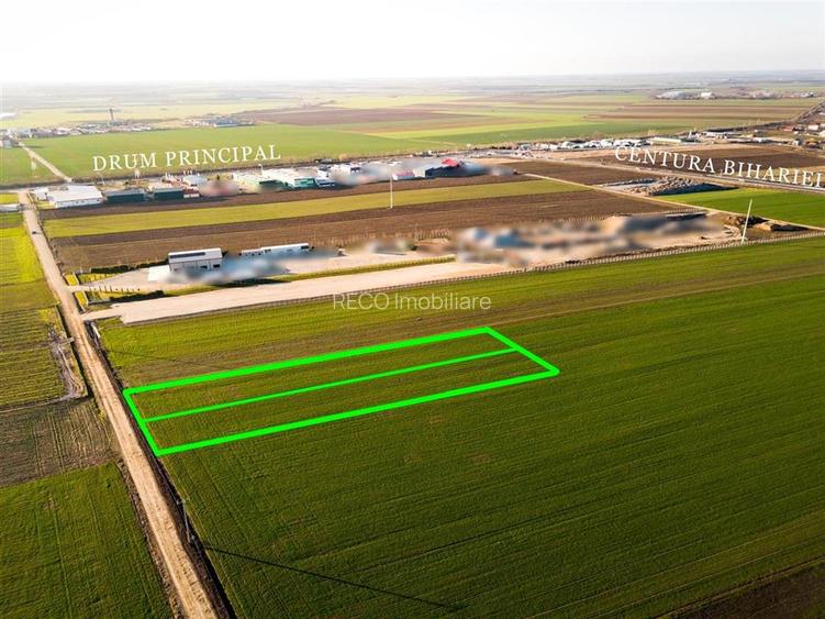 RECO Teren extravilan in Biharia 5500 mp zona intravilana - 3