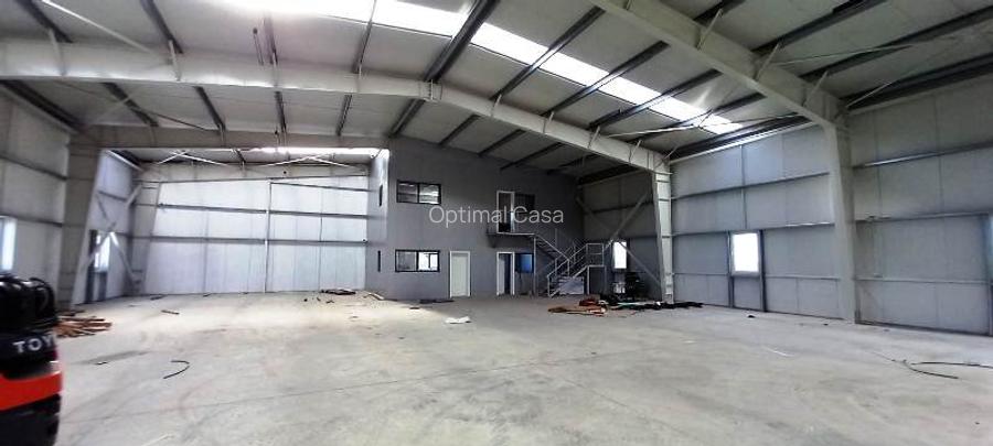 Magurele,hala 1000 mp,constructie noua ,ideal depozitare,productie - 17