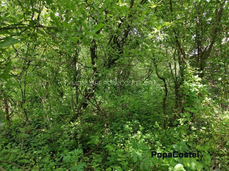 Otopeni Oituz teren 1000 mp deschidere 14 ml utilitati langa teren - 2